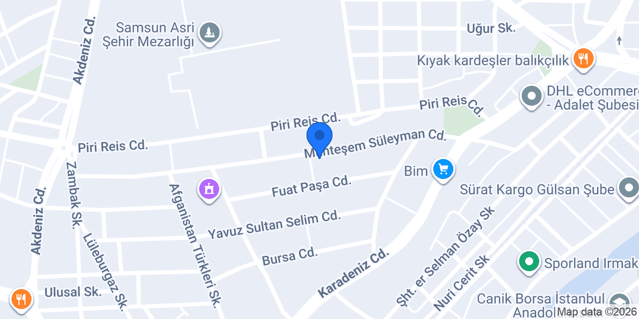 SAMSUN MEKANİK konumu