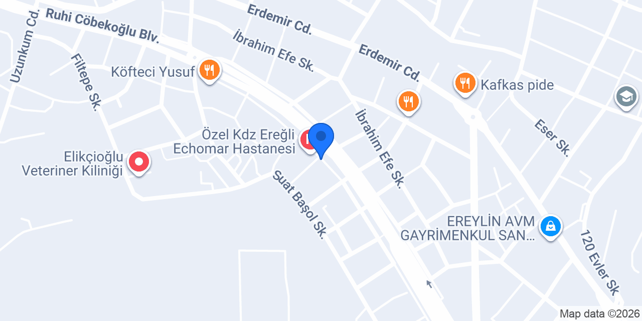 özlem duman ACADEMY konumu