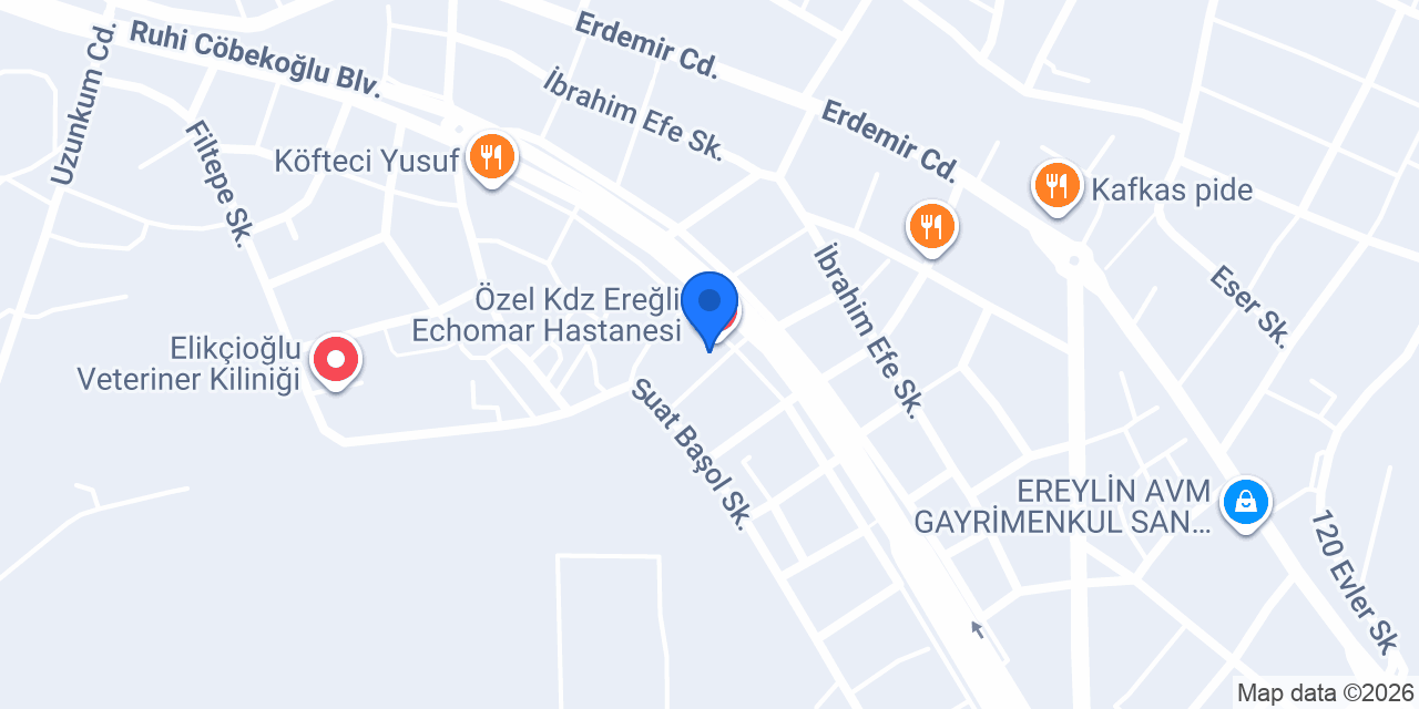 Echomar sümer taksi konumu