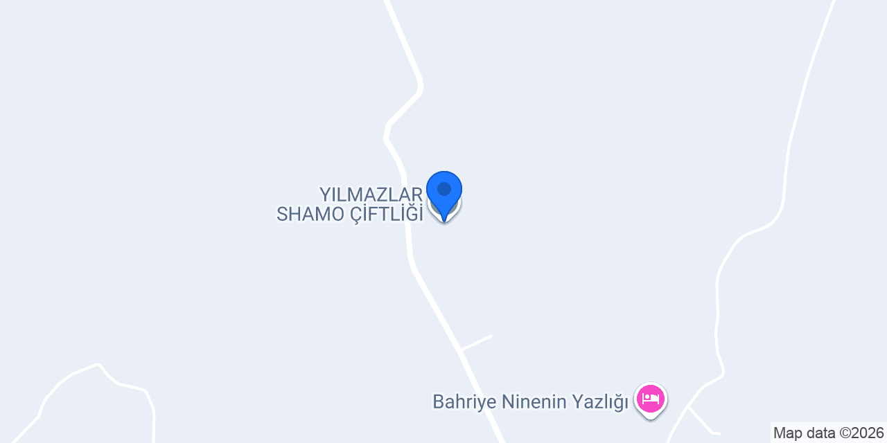 YILMAZLAR SHAMO ÇİFTLİĞİ konumu