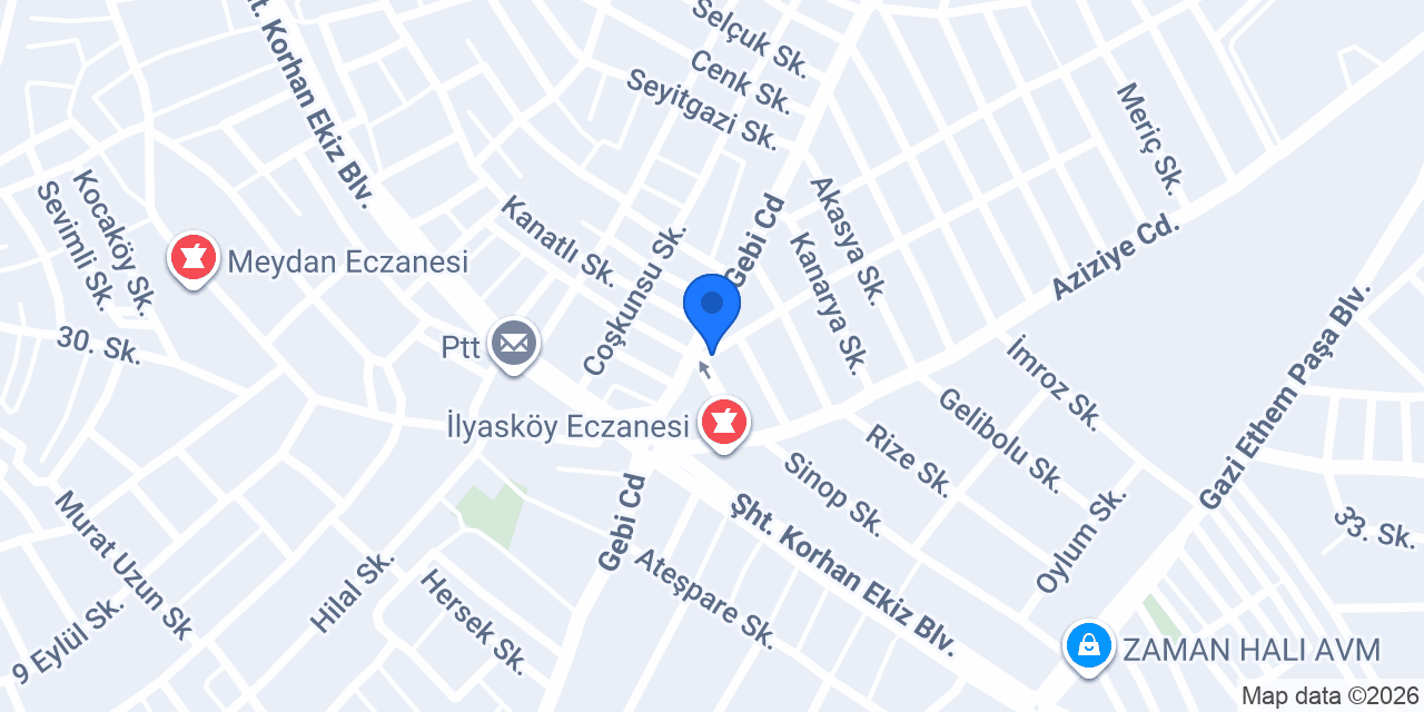 Çınar konumu