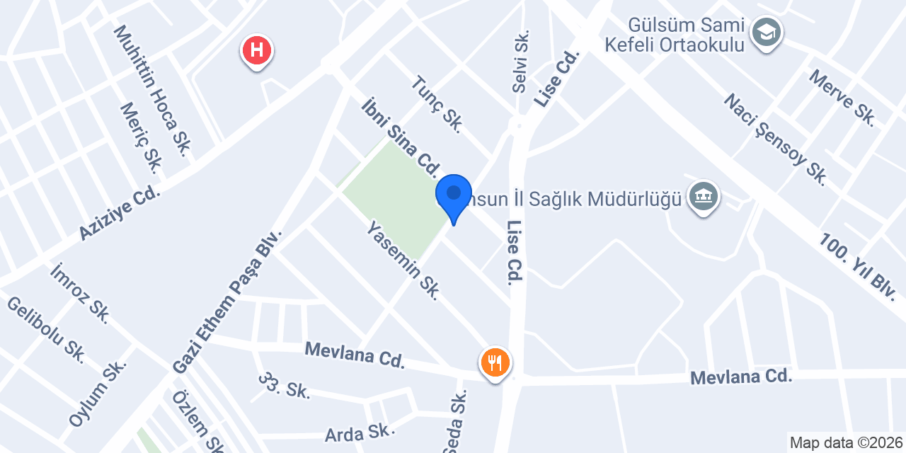 BOŞNAK ELEKTRİK konumu