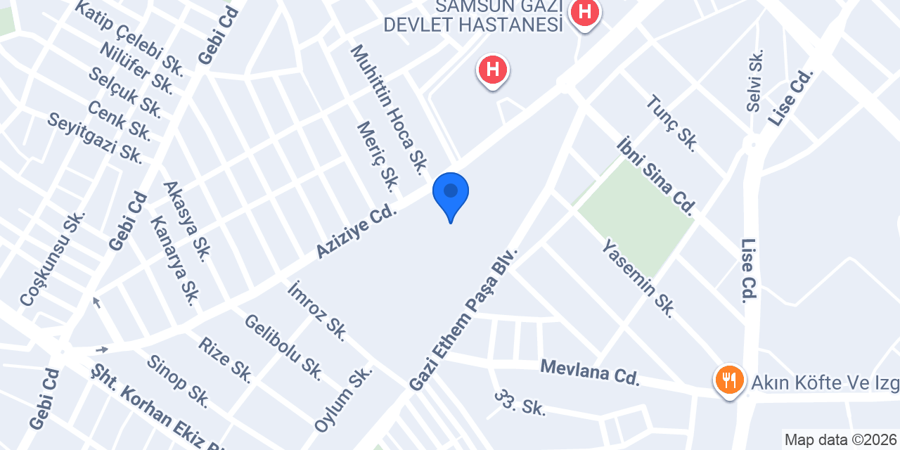 Samsun Anadolu Lisesi konumu
