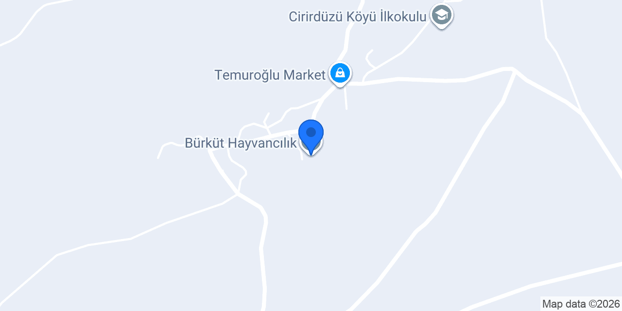 Bürküt hayvancılık konumu