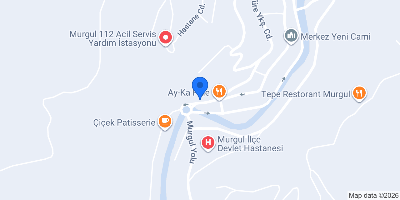 Murgul Ortaokulu konumu