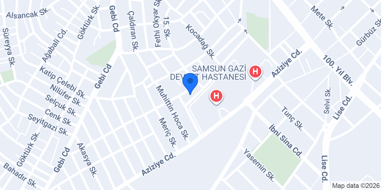 Samsun Servis Merkezi konumu