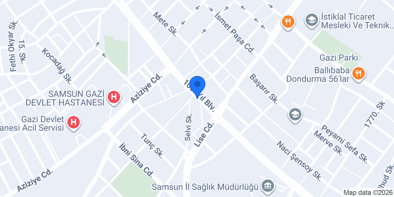 Samsun Lilyum Çiçekçilik konumu