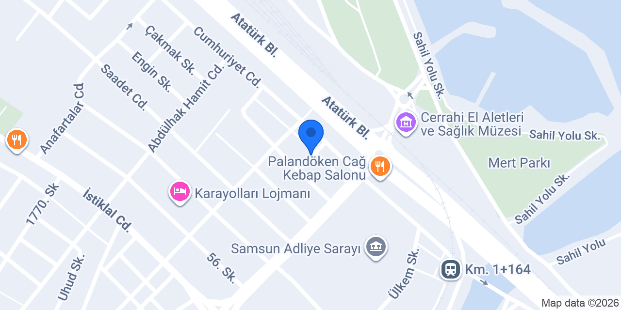 Samsun Avukat Merve Bayörs konumu