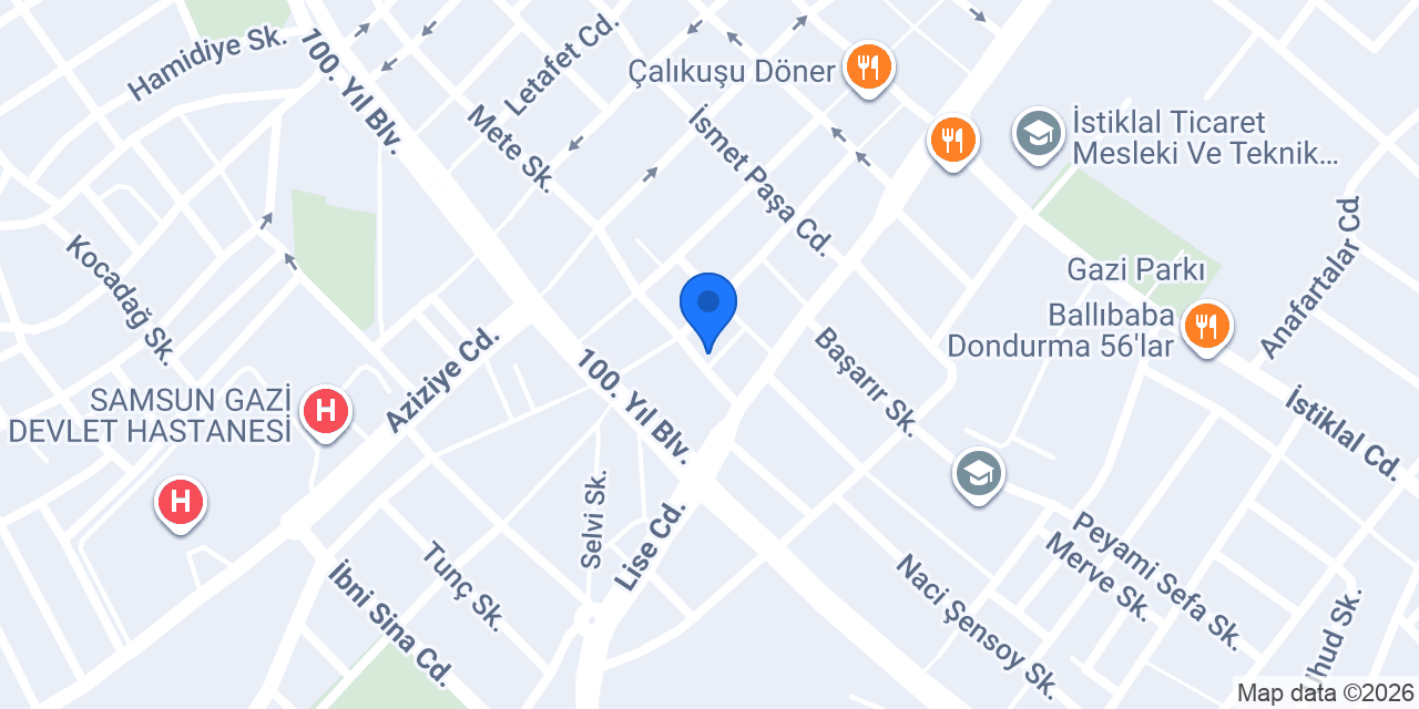 Lıon oto garage konumu