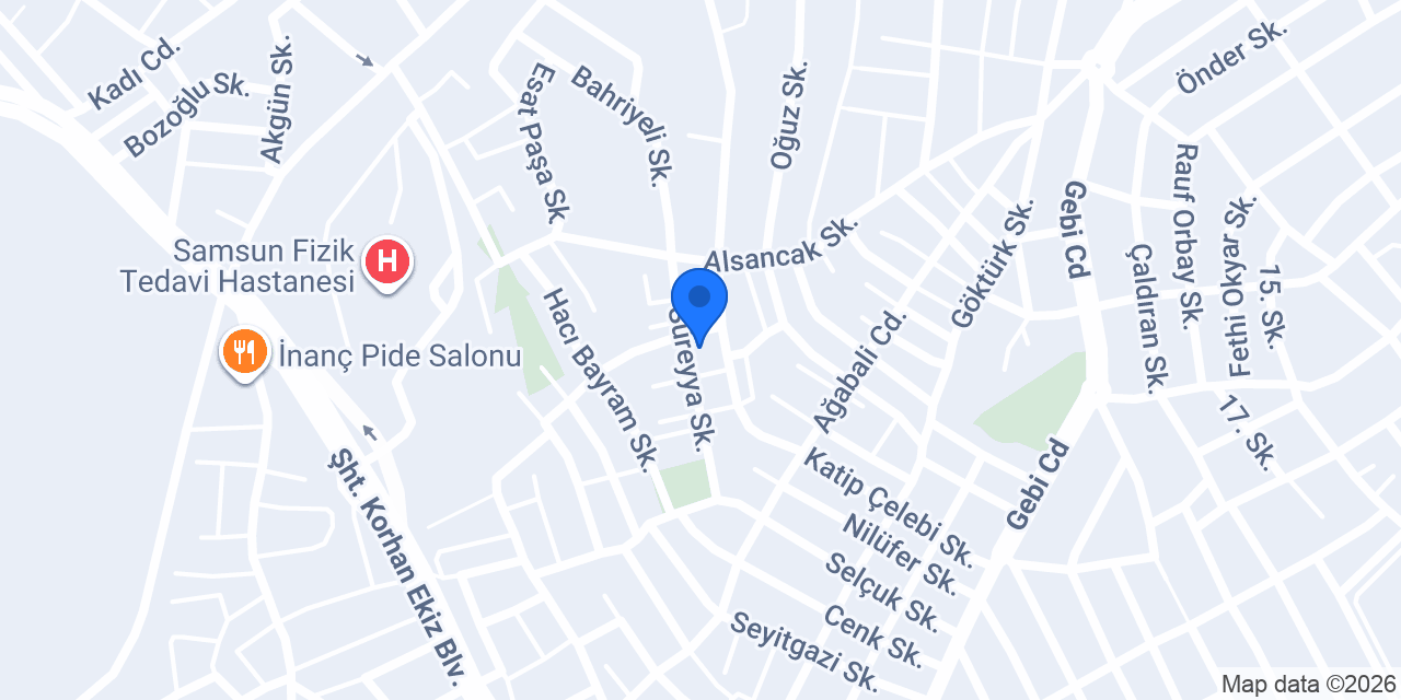 Samsun Acil Elektrik konumu