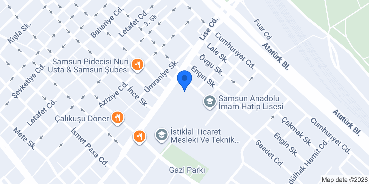 Samsun Olgunlaşma Enstitüsü konumu