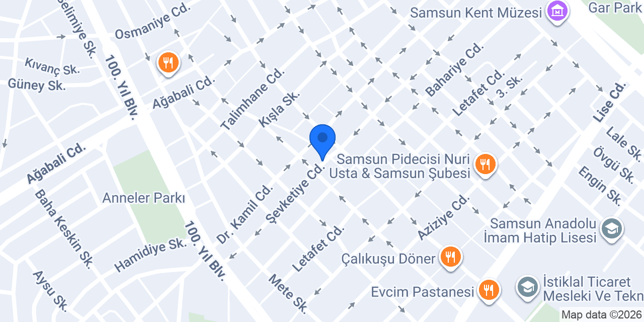 FATİH KAYA SAMSUN konumu