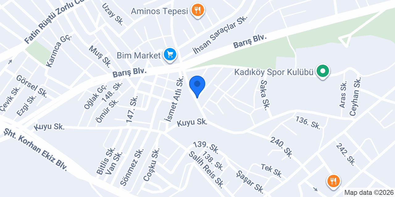 Boyacı ustalar Samsun (ERCAN) USTA konumu