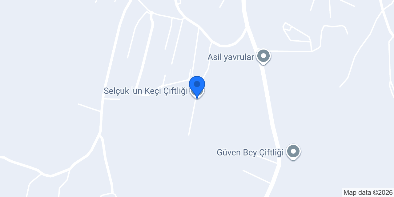 Selçuk 'un Keçi Çiftliği konumu