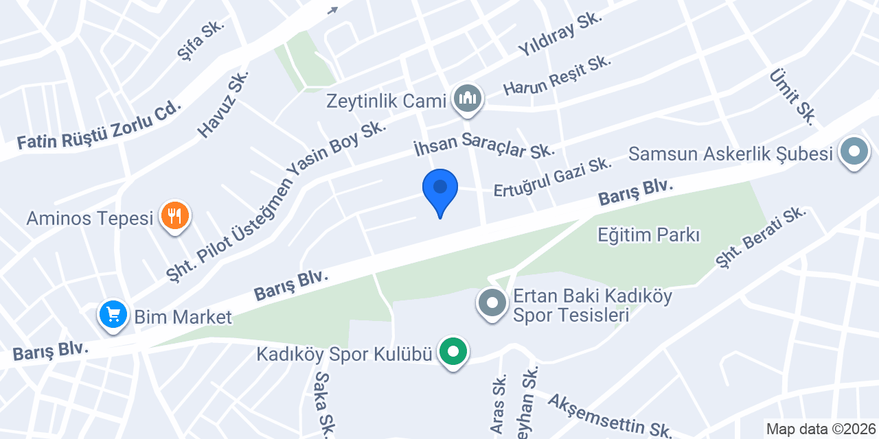 Samsun Emlak konumu
