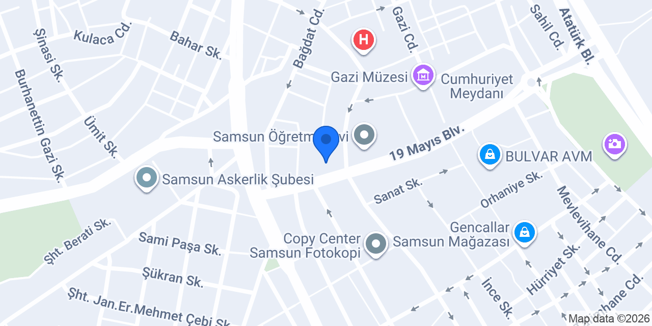 MSM Tur Organizasyon konumu