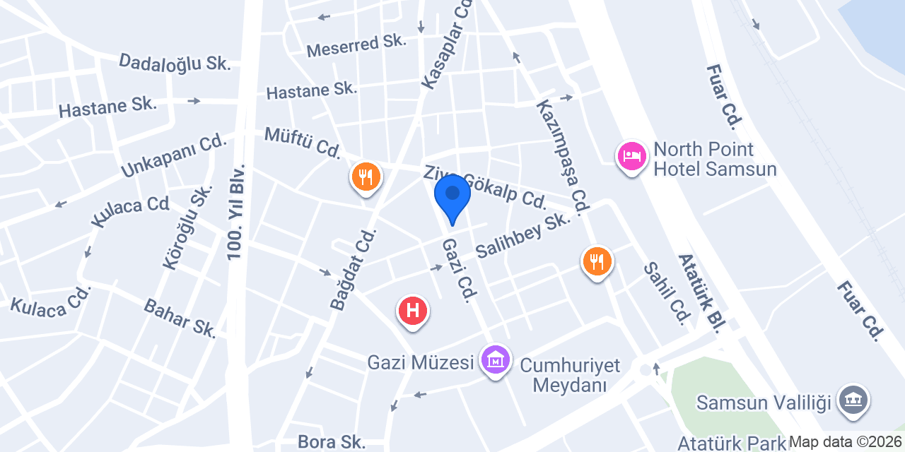 D DİAMOND SAMSUN konumu