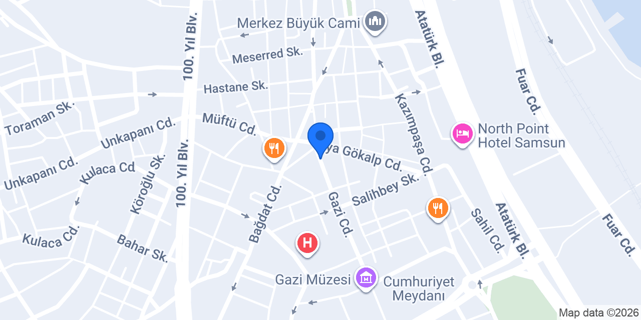 Evdiz Samsun Şube konumu