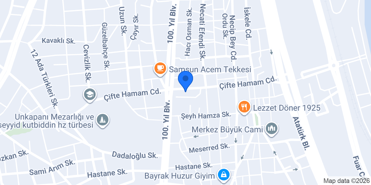 SAMSUN LEHİM konumu