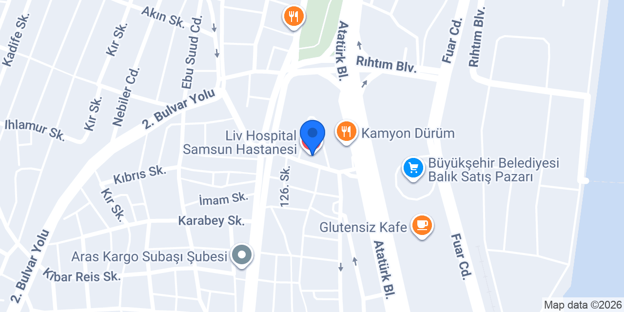 Doç. Dr. Arda Kazım DEMİRKAN konumu