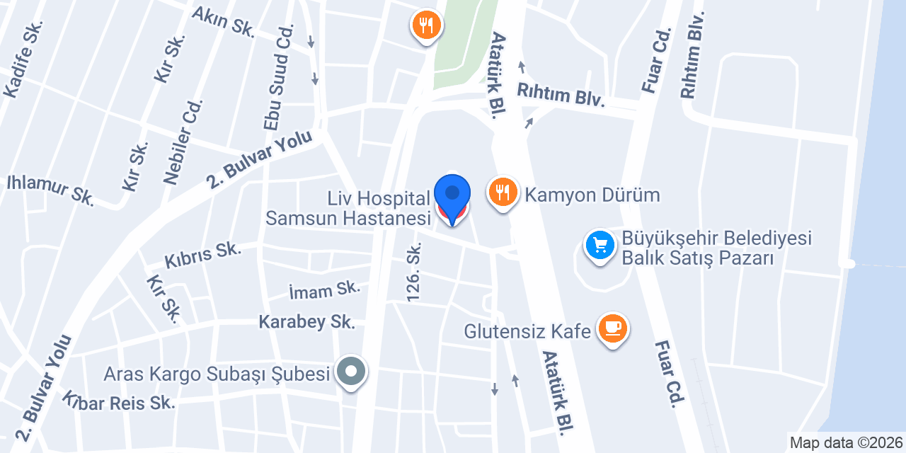 Doç. Dr. Gülçin Cengiz Ecemiş konumu