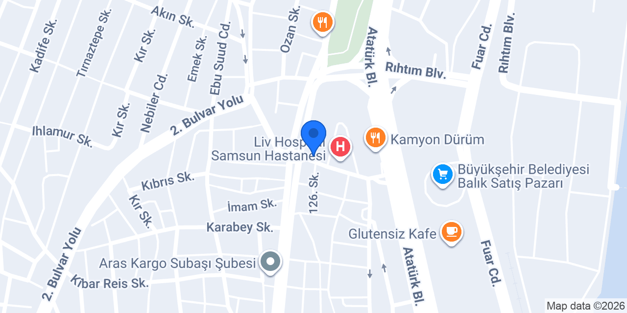 Samsun Amazon Pet Center konumu