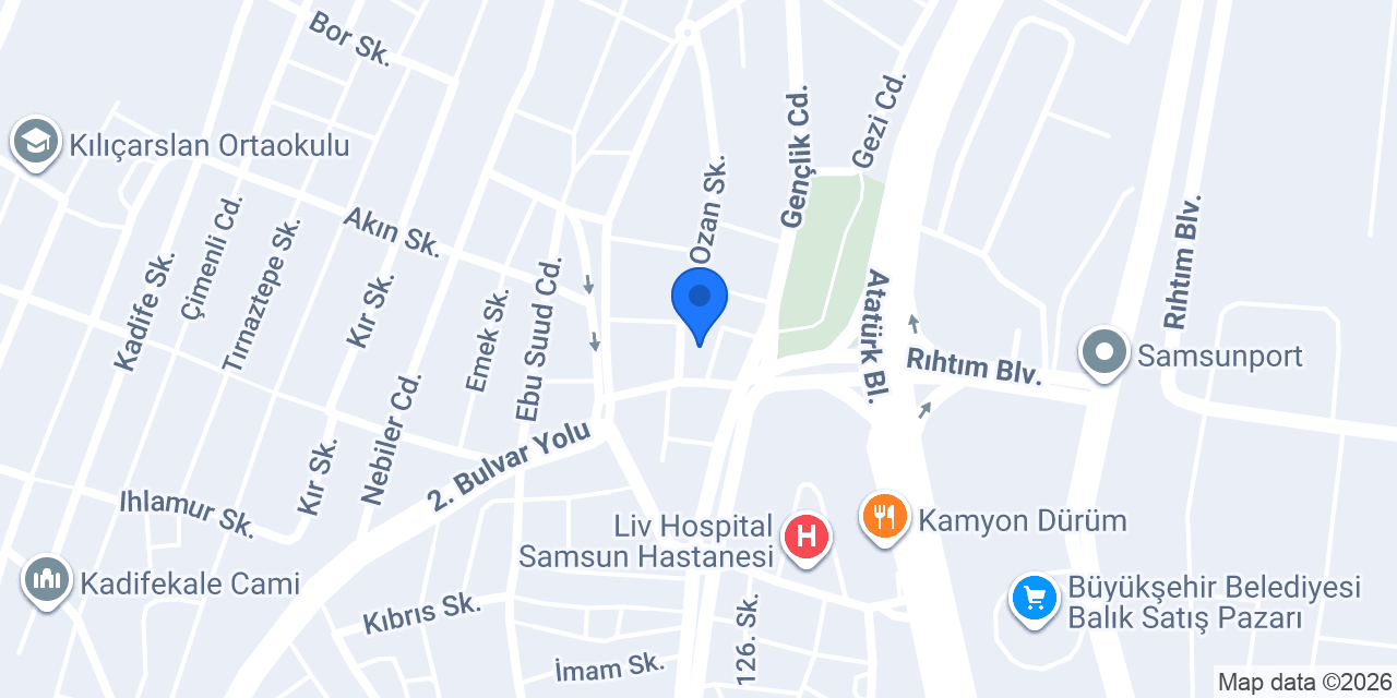 Samsun Baca Temizleme konumu