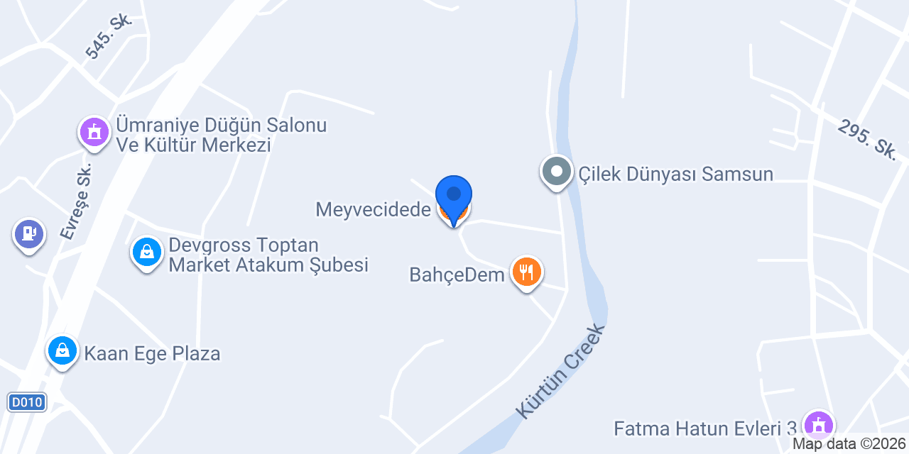 Meyvecidede konumu