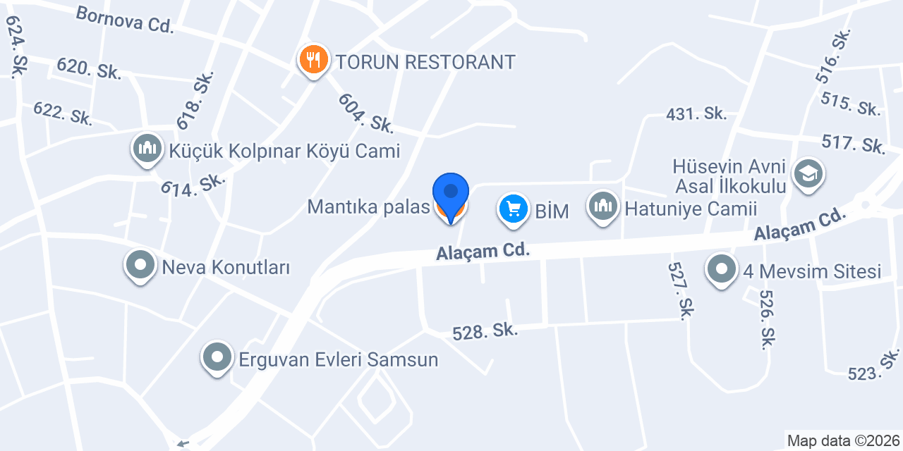 Mantıka palas konumu