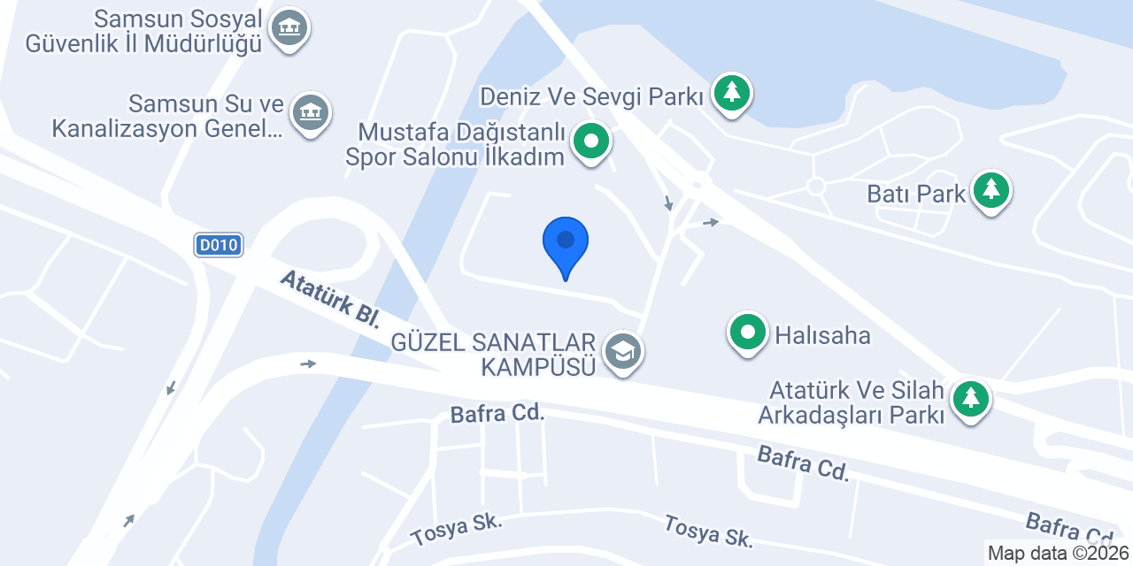 OMÜ Samsun Devlet Konservatuvarı konumu