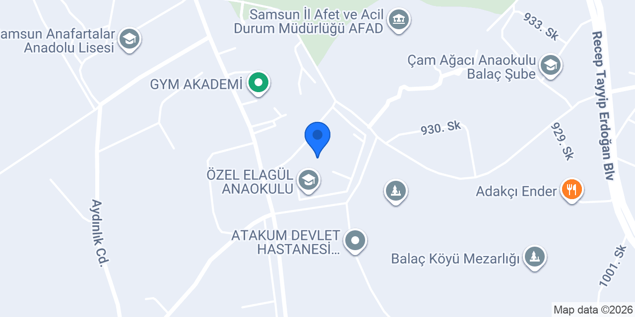 Boss Butik & E-Ticaret konumu