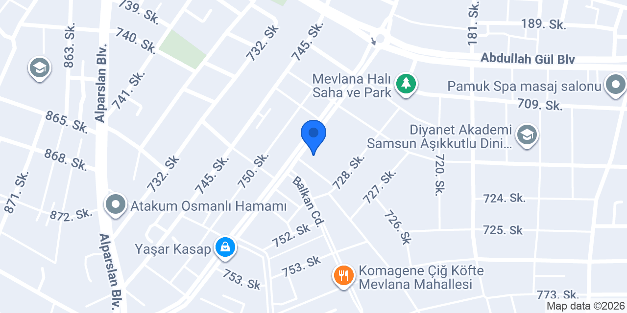 Samsun'da Çocuk Olmak konumu