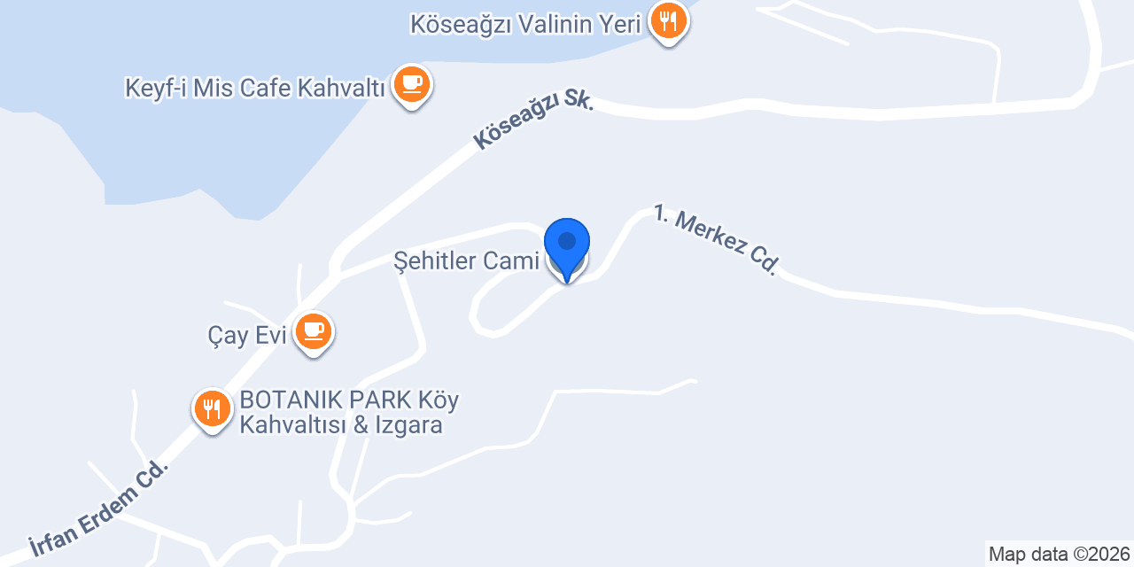 Şok konumu