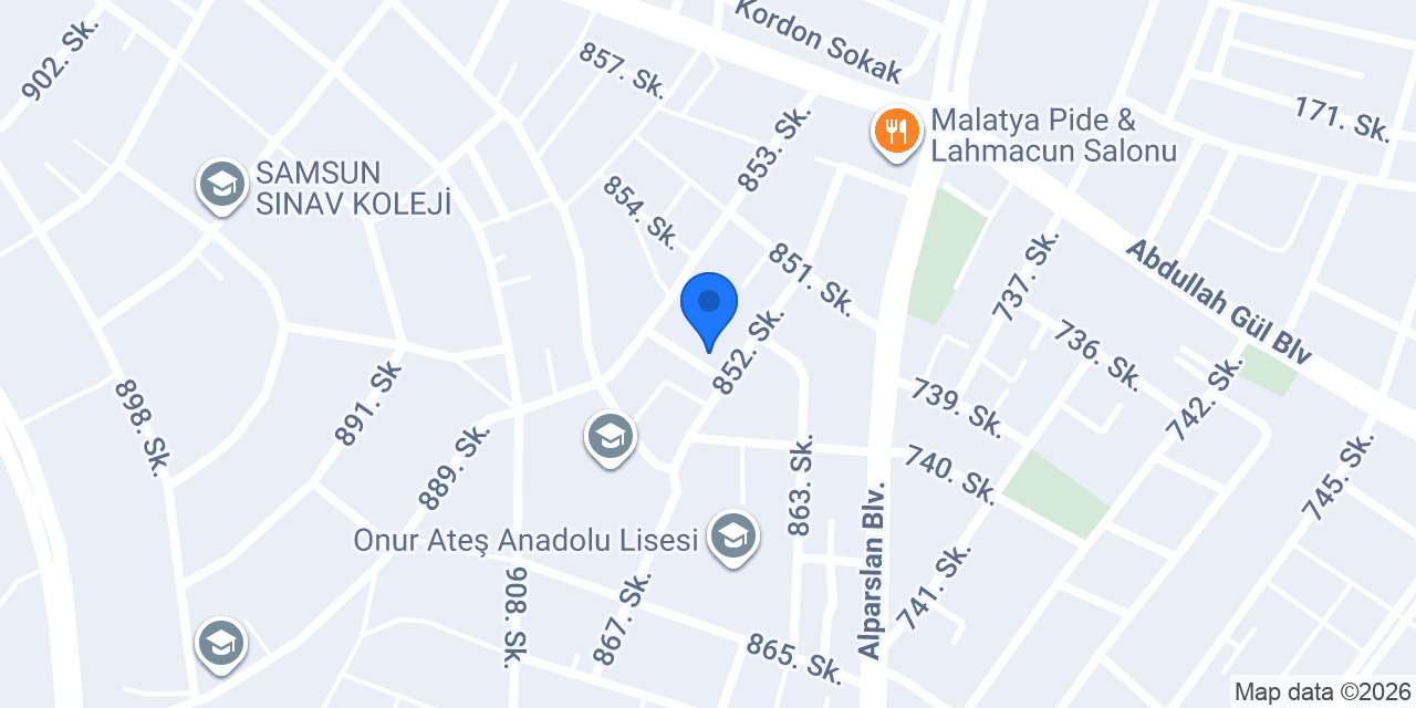 AKADEMİ DİSLEKSİ SAMSUN konumu