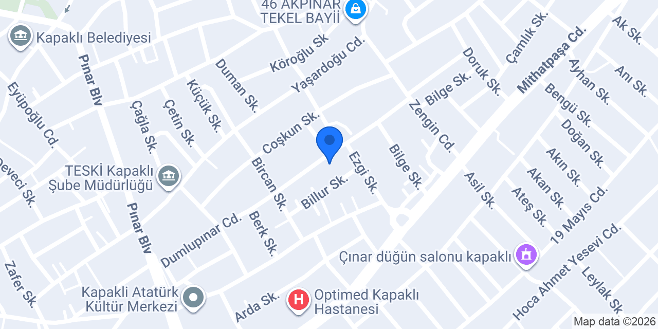 Temur Danışmanlık konumu