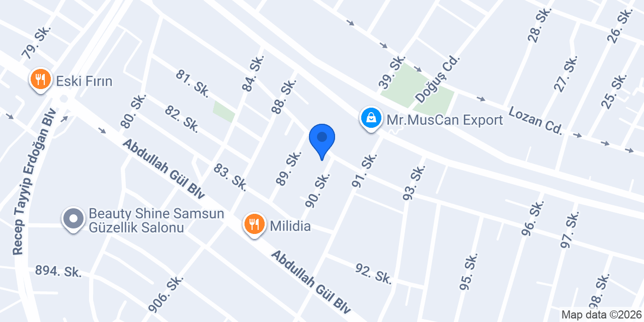 Samsun Masaj Salonu Neon Spa konumu