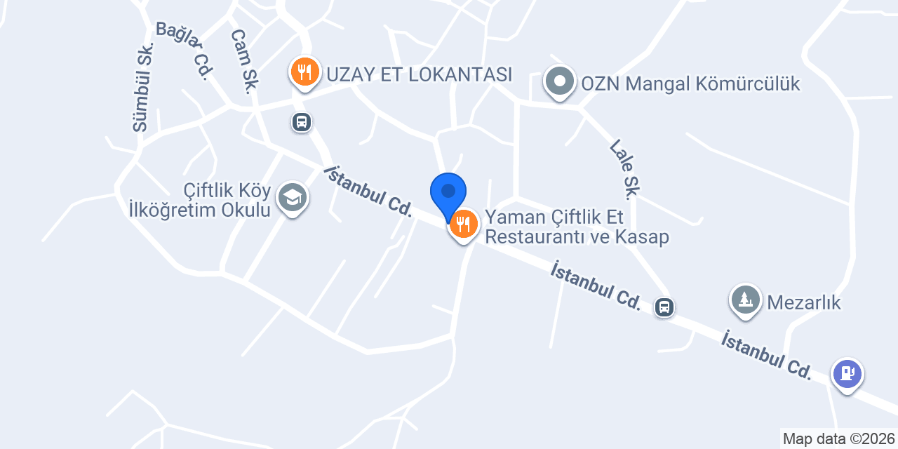 alha elektrik konumu
