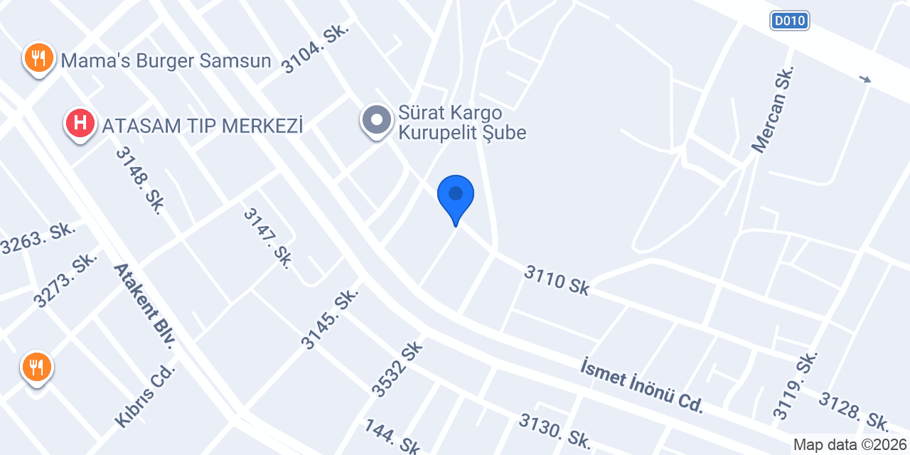 Rise-Fi İhracat konumu