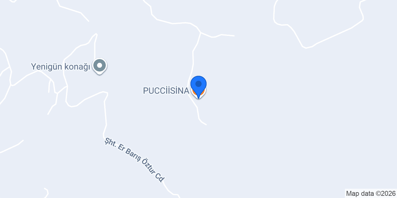 PUCCİİSİNA konumu