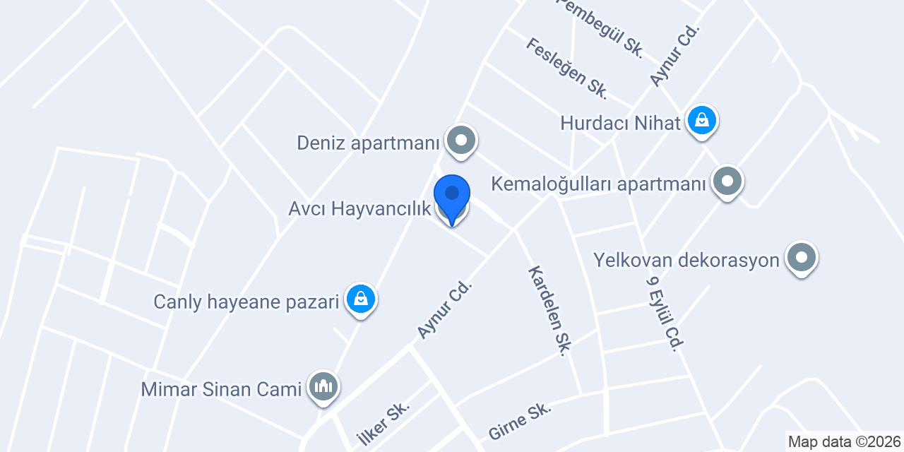 Avcı Hayvancılık konumu