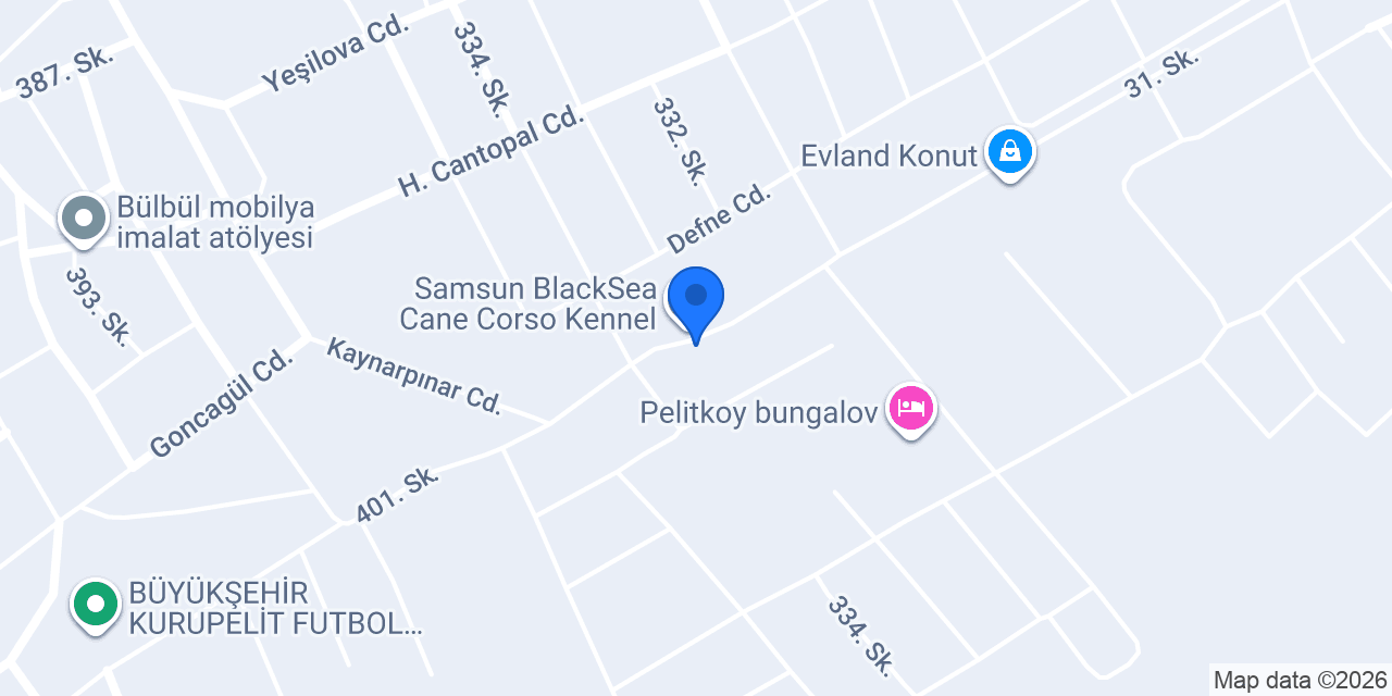 KARADENİZ SU POMPALARI konumu