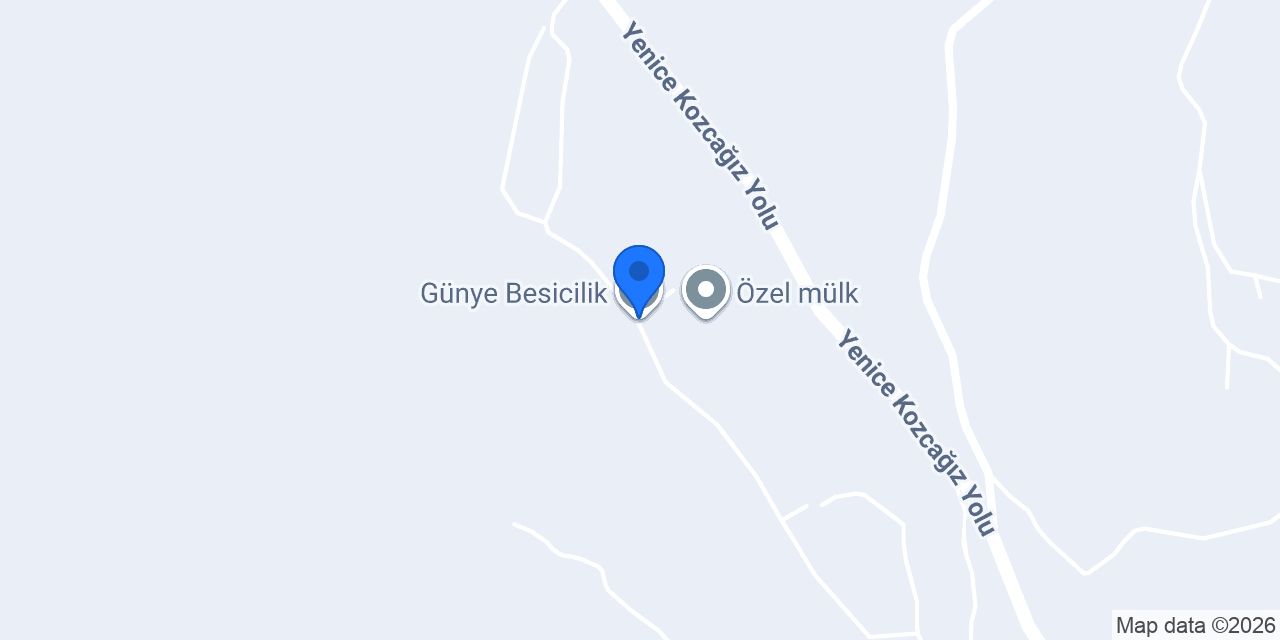 Günye Besicilik konumu