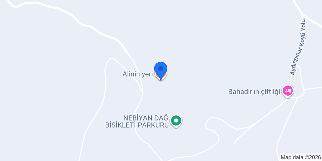 Alinin yeri konumu