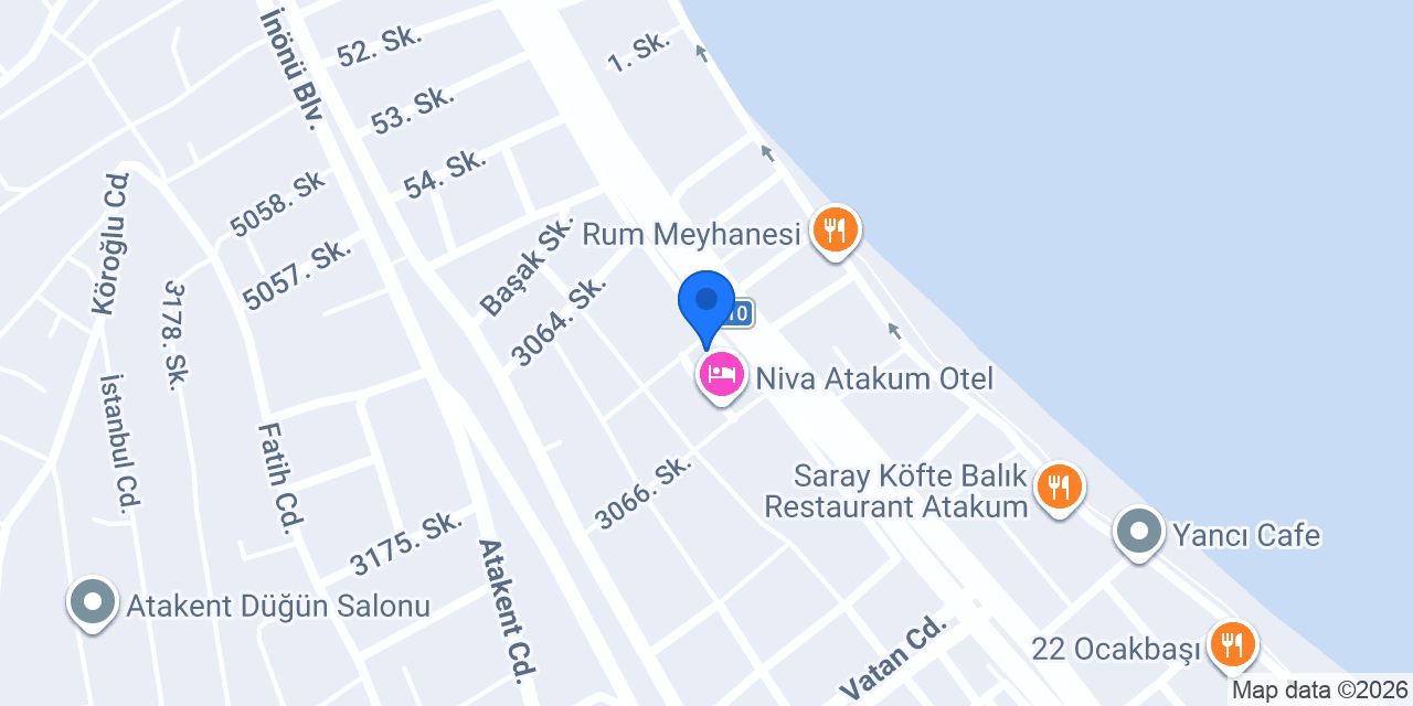 Taşfırın Pide konumu