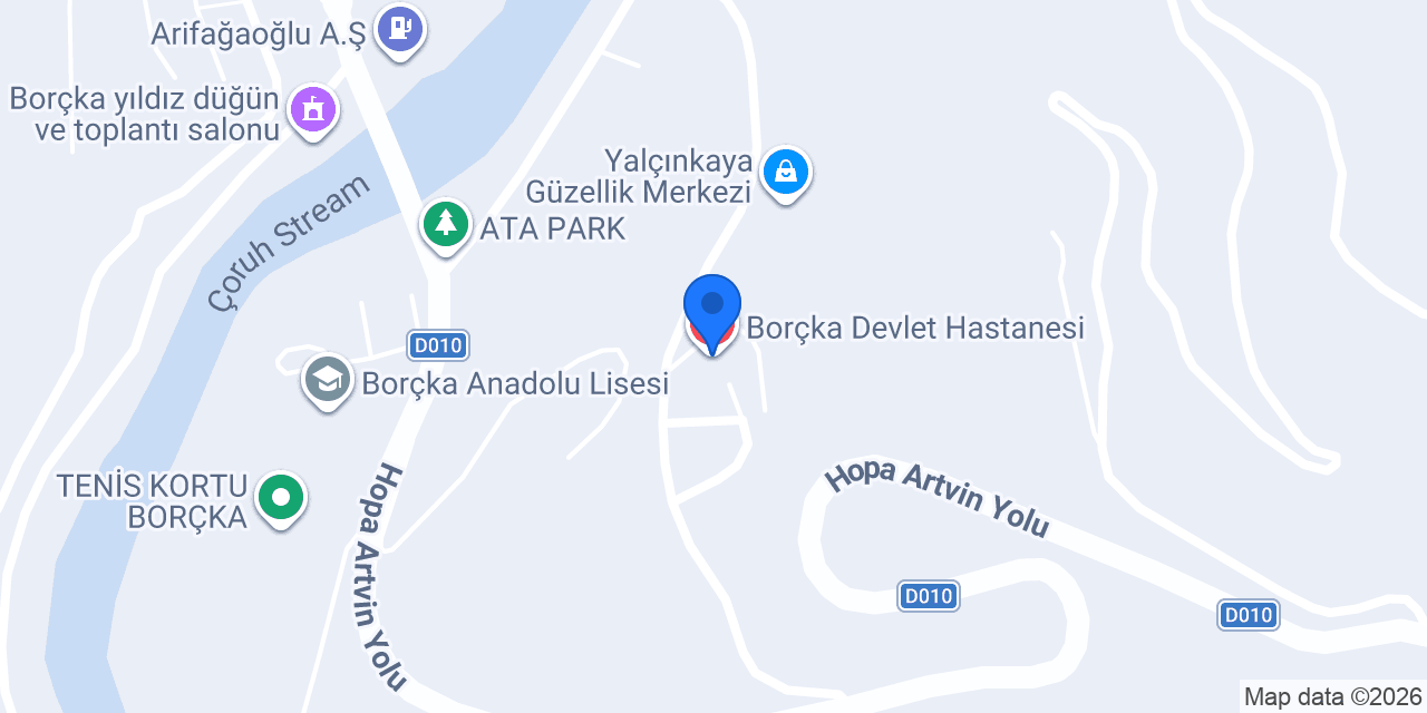 Borçka Devlet Hastanesi konumu