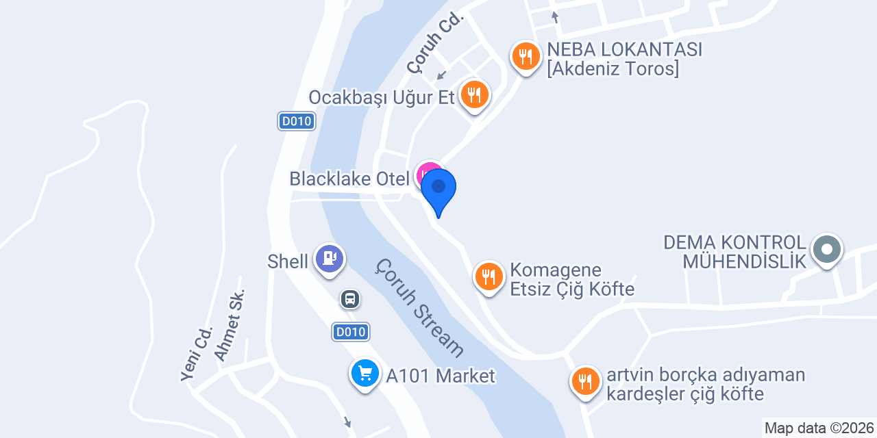 ARTVİN BORÇKA ATABAY BAL konumu
