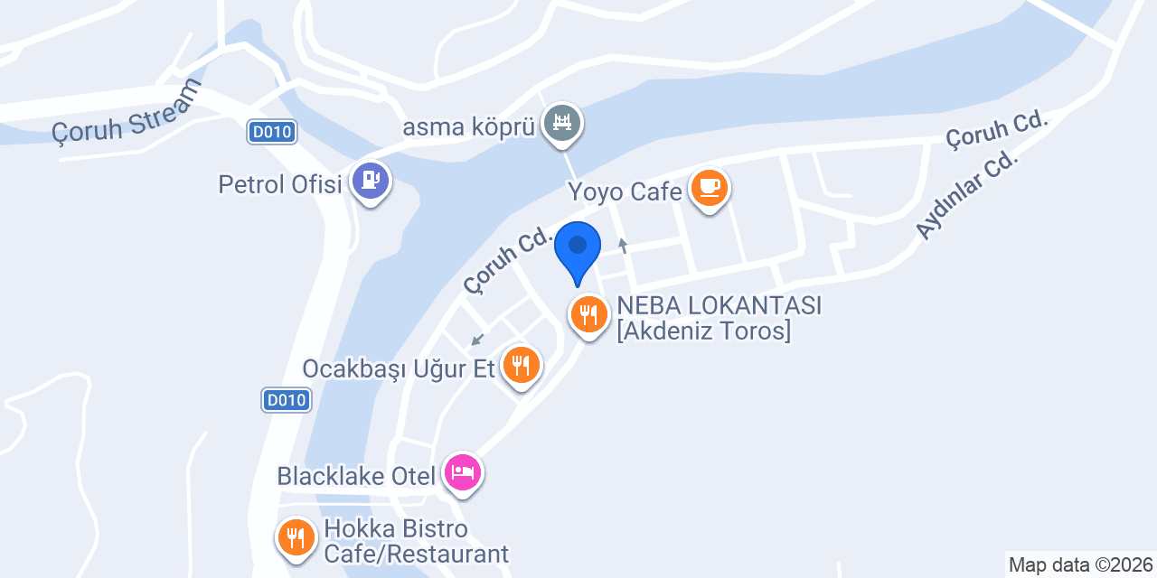 Cavit Usta Oto Hastanesi konumu