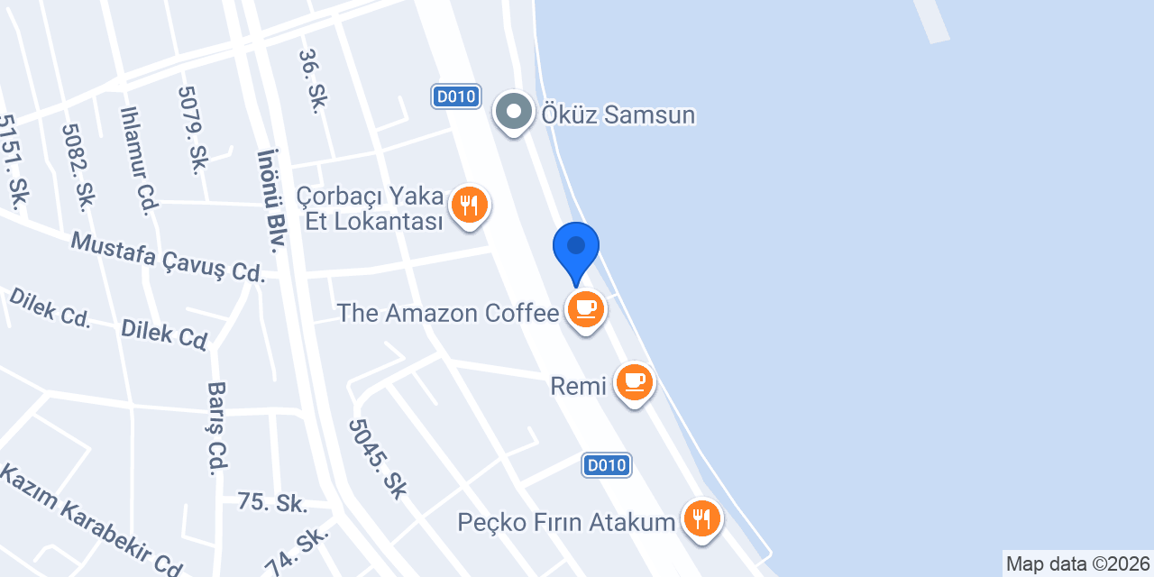 Revizyon Marina konumu