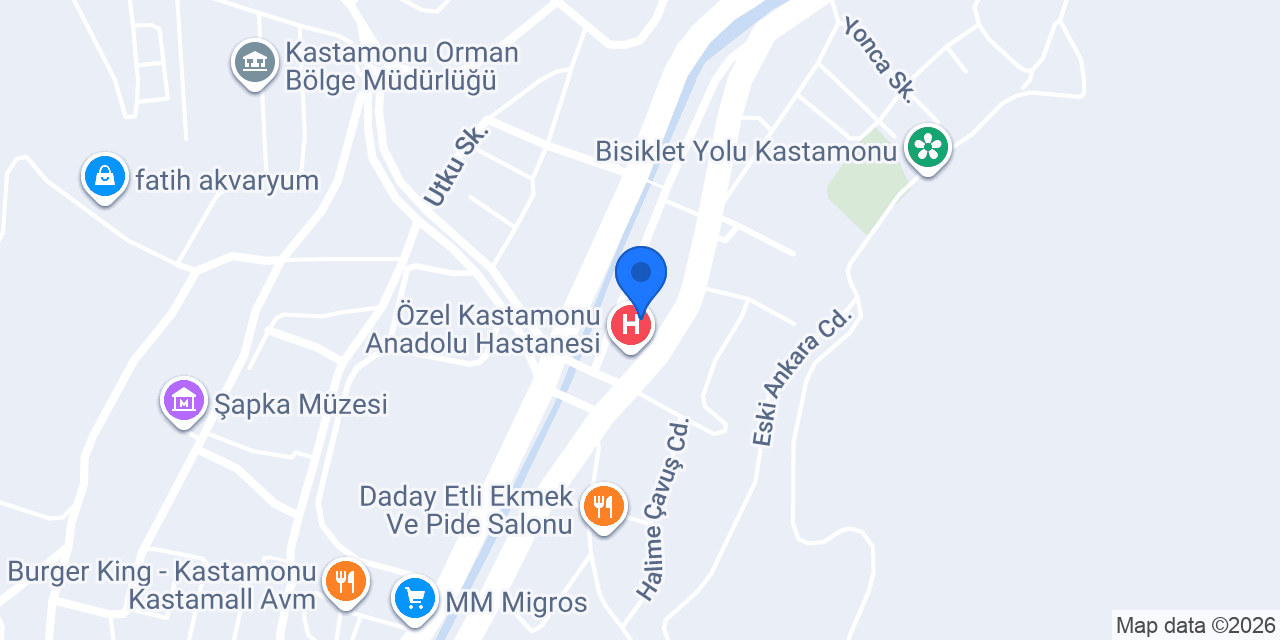 Kastamonu Zirve Et konumu