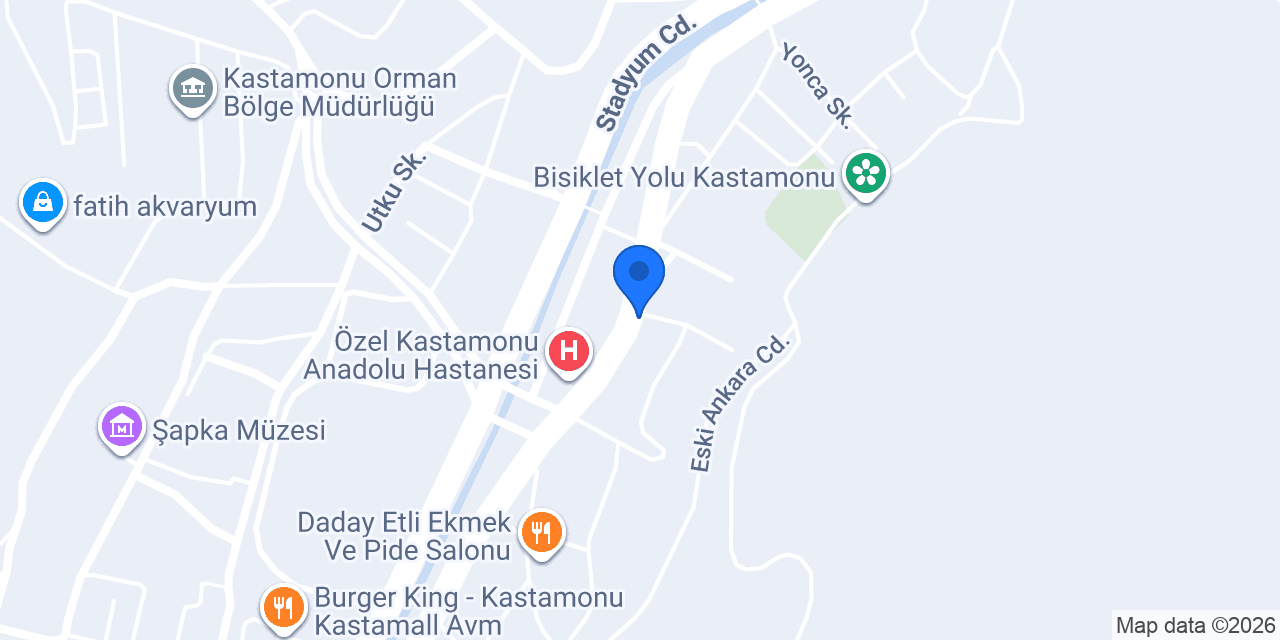 BASKIM OTUZYEDİ MATBAA konumu